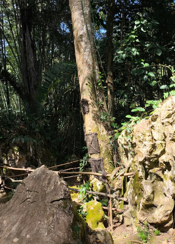 Situs Baby Grave (Passiliran)